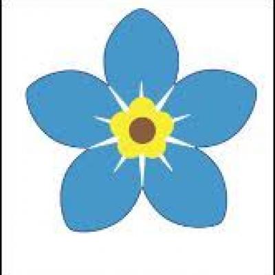 forget me not
